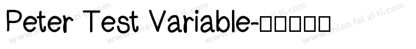 Peter Test Variable字体转换